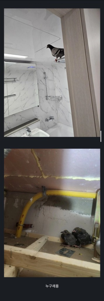 2cfd521f18f2b8d3eecb314d5021d46e_20250121192418.jpeg