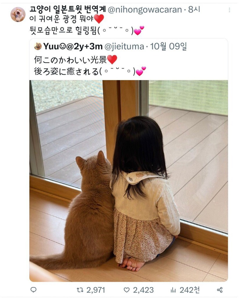 98f358d8c4a5f44c69b137de13e22426_20250121183557.jpeg