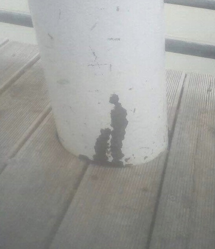 1743563102_0_img.jpeg