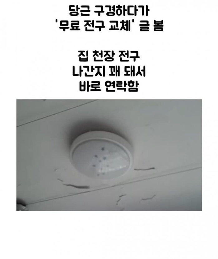 1745990356_0_img.jpeg