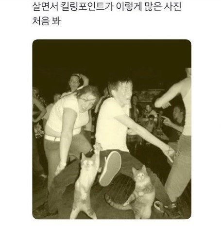 1750511461_0_img.jpeg