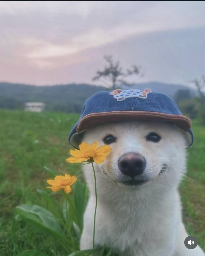 1750926847_0_img.jpeg