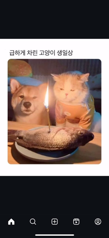 1750926980_0_img.jpeg