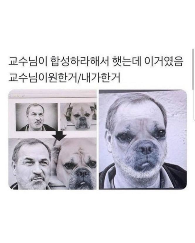 1751447727_0_img.jpeg