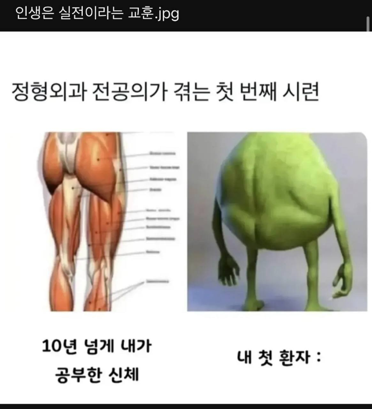 1752655047_0_img.jpeg
