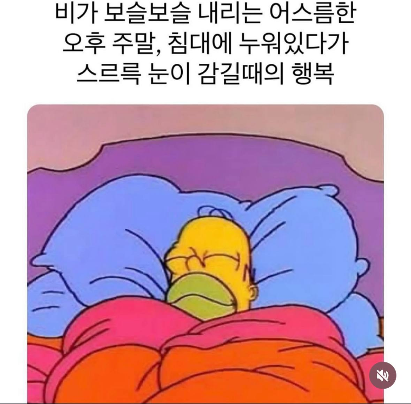 1752655730_0_img.jpeg