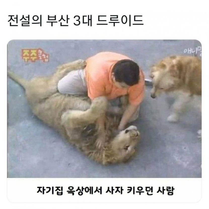 1752724503_0_img.jpeg