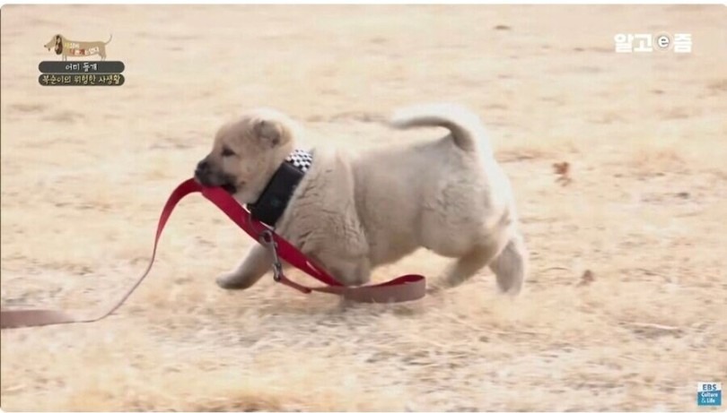 1752808531_0_img.jpeg