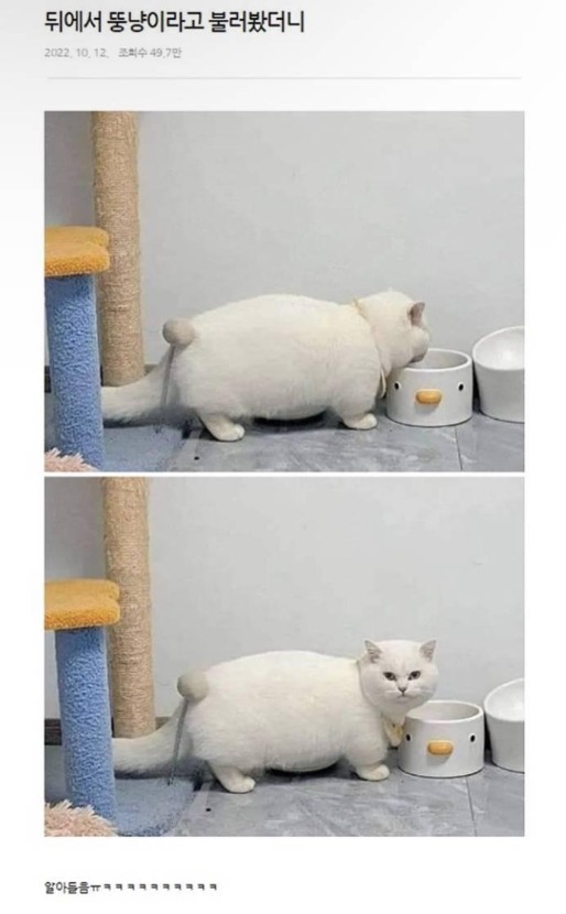 1752810047_0_img.jpeg