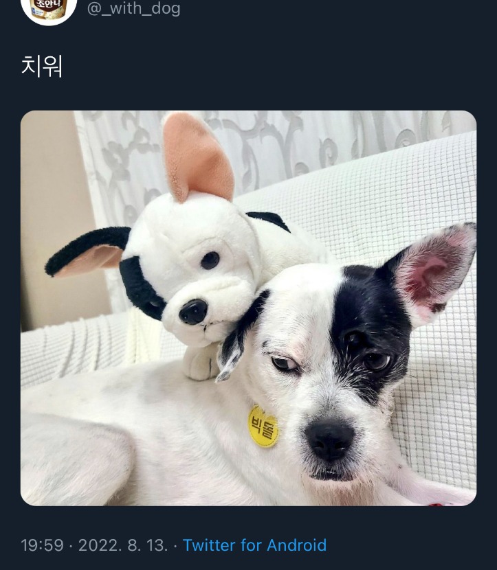 1752986053_0_img.jpeg
