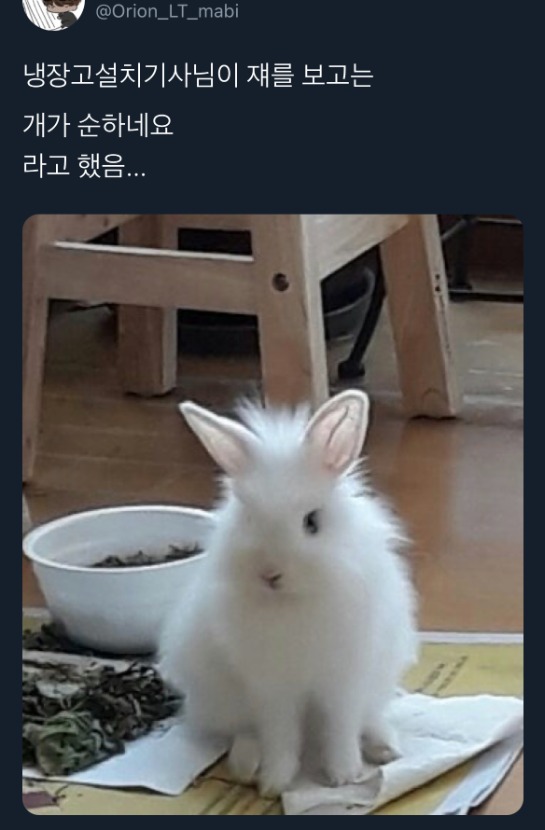 1752986060_0_img.jpeg