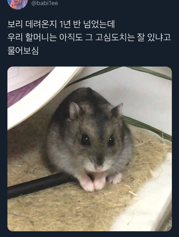 1752986071_0_img.jpeg