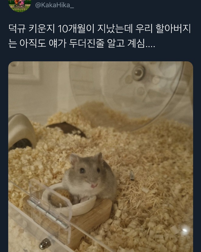 1752986091_0_img.jpeg