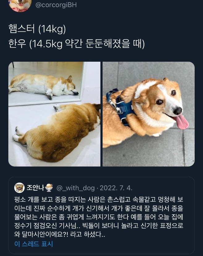 1752986102_0_img.jpeg