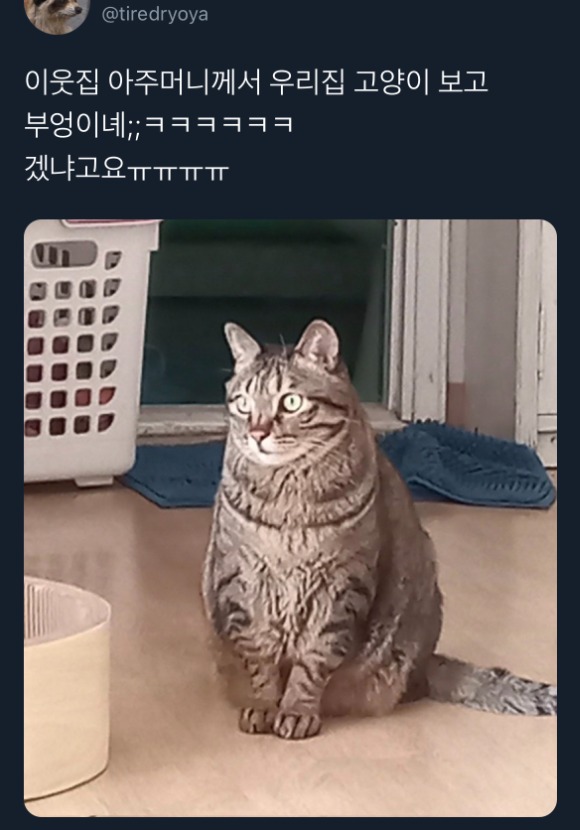1752986120_0_img.jpeg