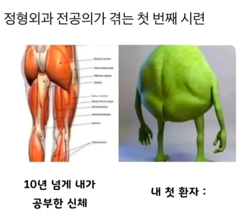 1753318714_0_img.jpeg