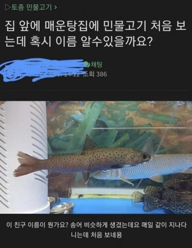 1753753426_0_img.jpeg