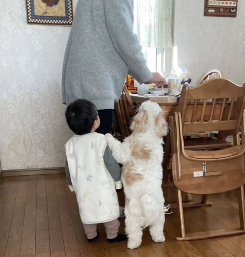 1753840222_0_img.jpeg