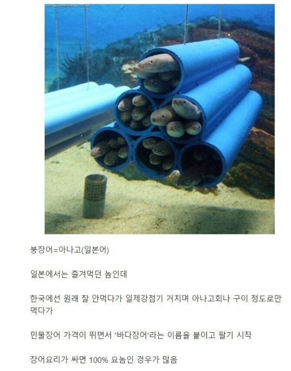 1753840569_0_img.jpeg