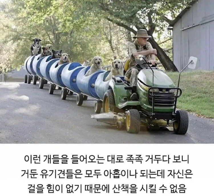1753980520_0_img.jpeg