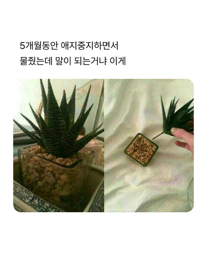 1753985877_0_img.jpeg