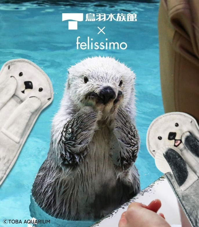 1754019568_0_img.jpeg