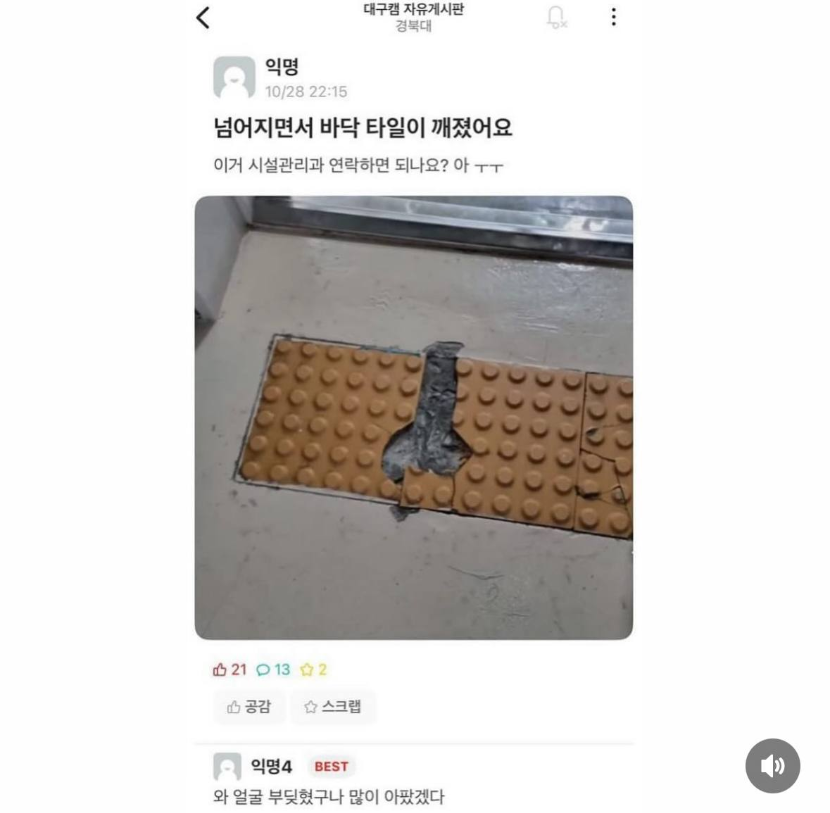 1754330546_0_img.jpeg