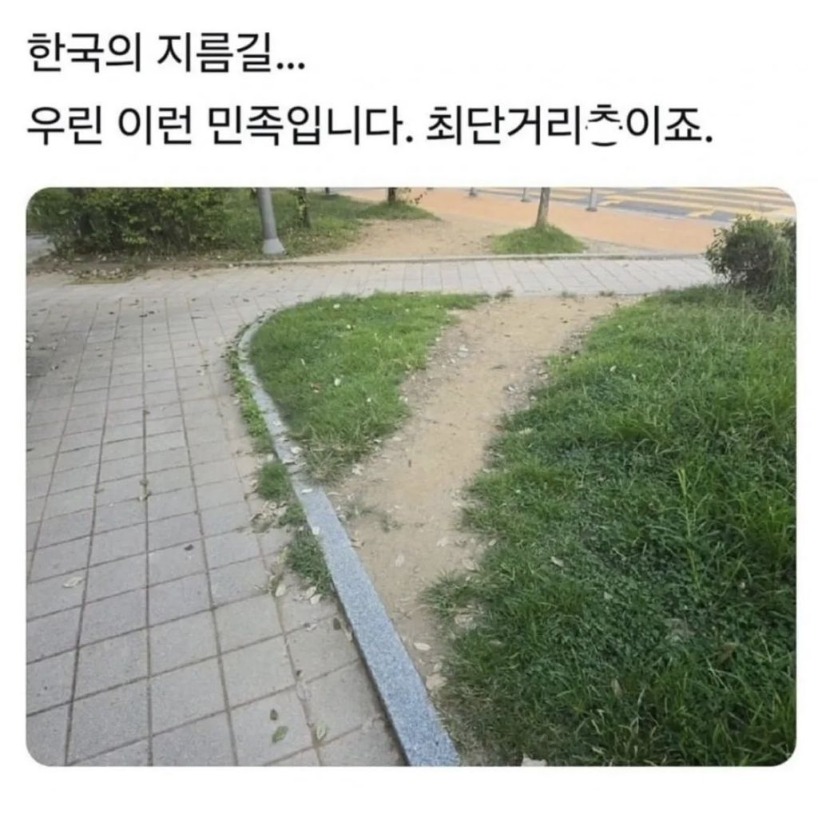 1754367466_0_img.jpeg