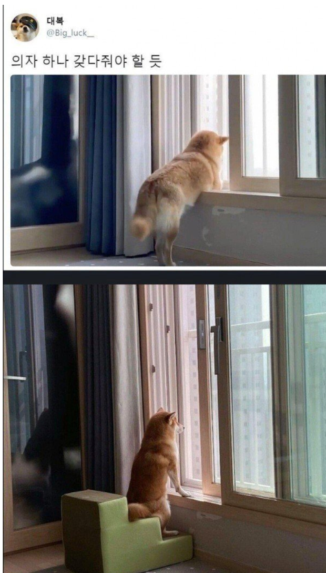 1754385047_0_img.jpeg