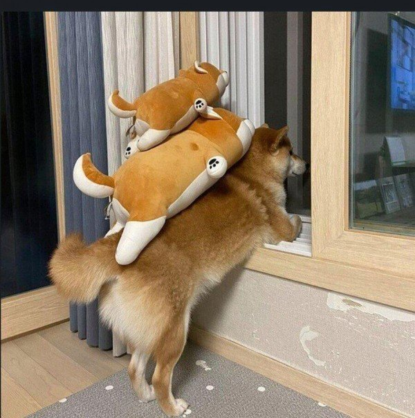 1754385077_0_img.jpeg
