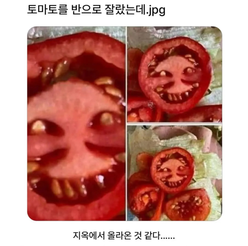 1754541658_0_img.jpeg
