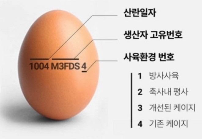 1754547979_0_img.jpeg