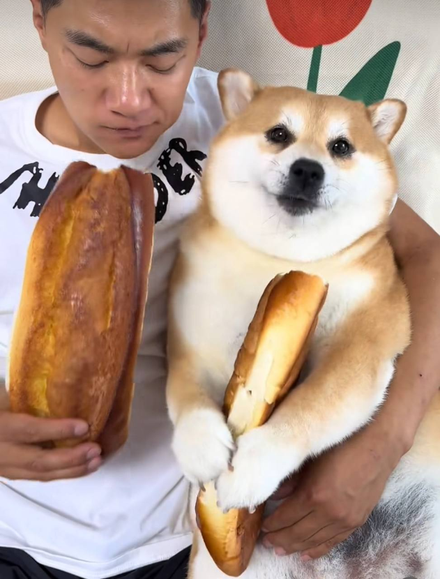 1754733795_0_img.jpeg