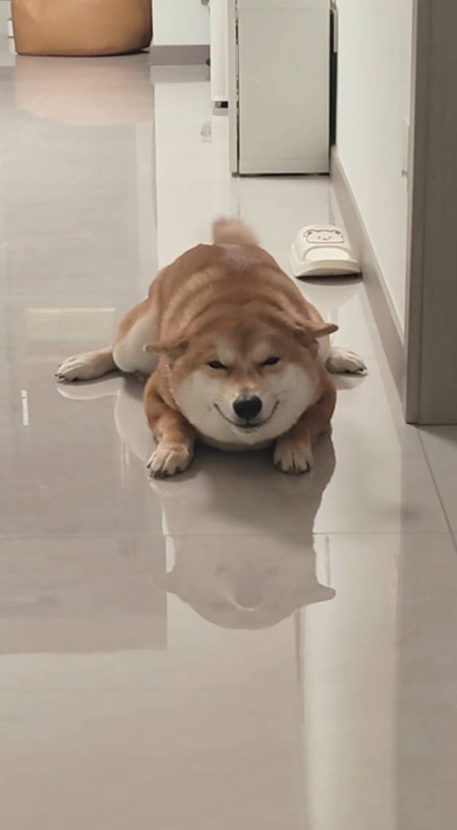 1754831789_0_img.jpeg