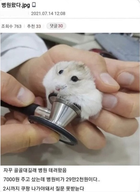 1754965102_0_img.jpeg