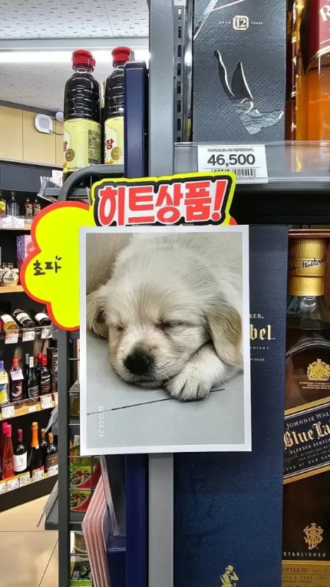 1754965976_0_img.jpeg