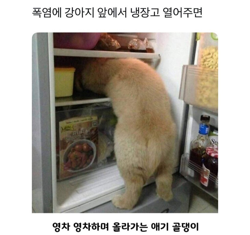 1754997255_0_img.jpeg