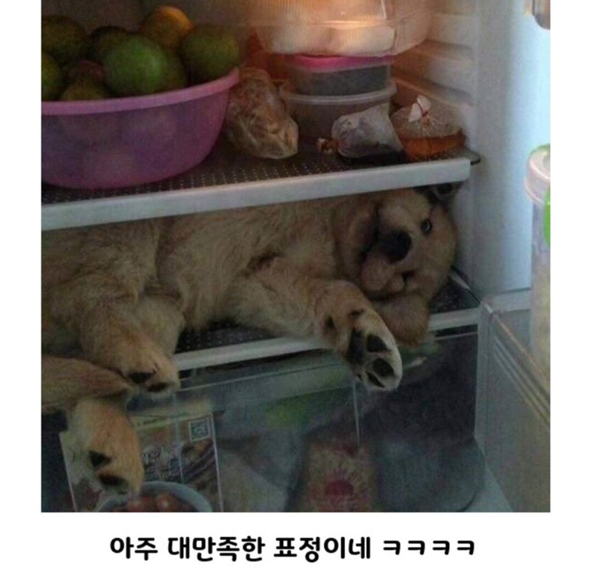 1754997264_0_img.jpeg