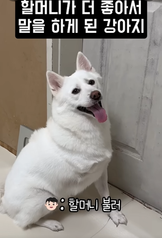 1755139541_0_img.jpeg