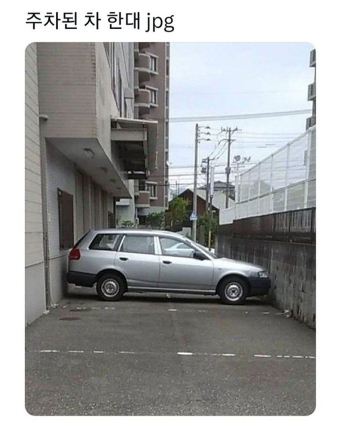 1755139664_0_img.jpeg