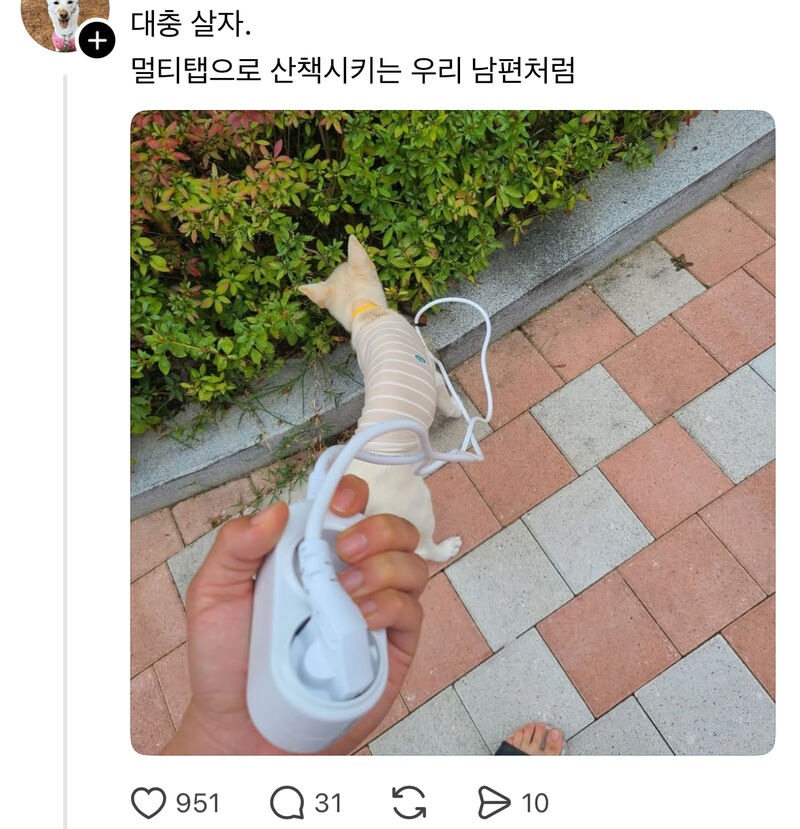 1755223873_0_img.jpeg