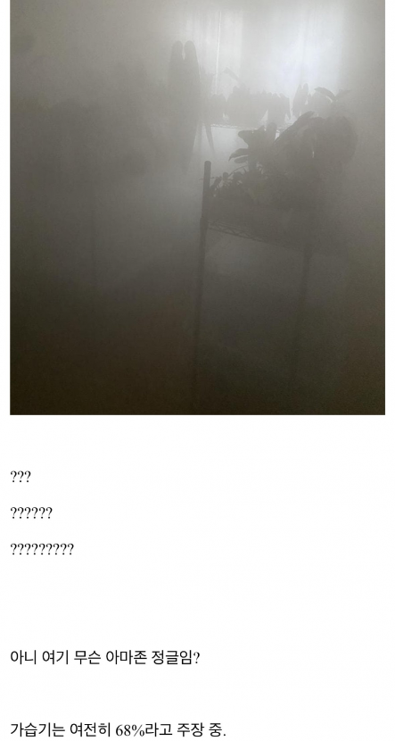 1755226229_0_img.jpeg