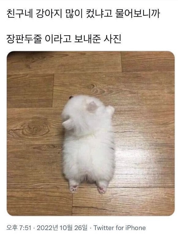 1755393517_0_img.jpeg