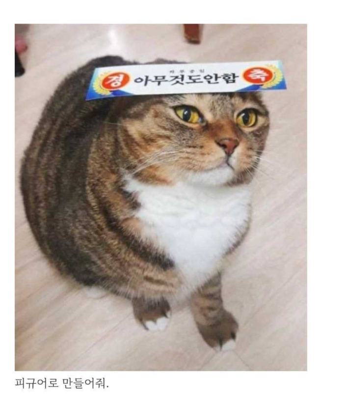 1755484983_0_img.jpeg