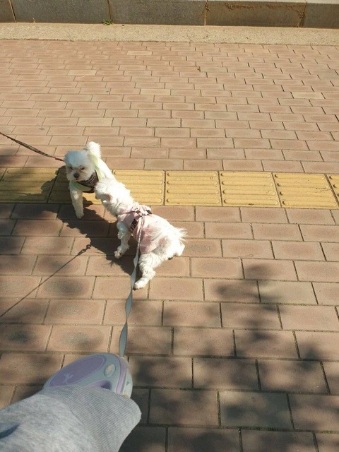 1755567391_0_img.jpeg