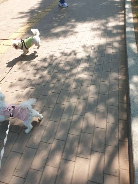 1755567404_0_img.jpeg