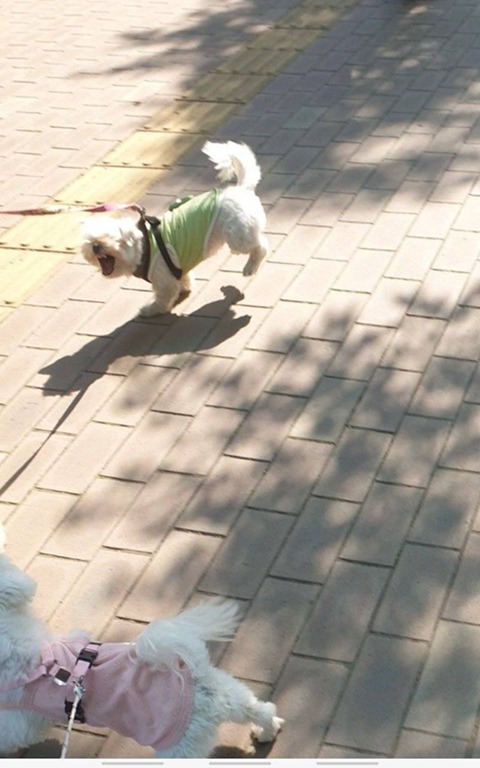 1755567411_0_img.jpeg