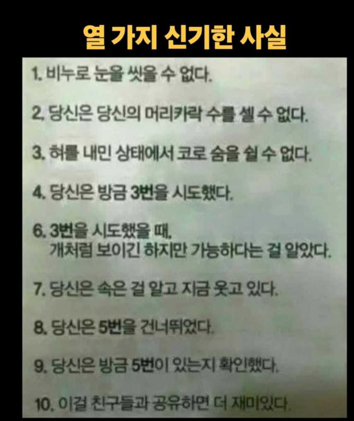 1755667589_0_img.jpeg