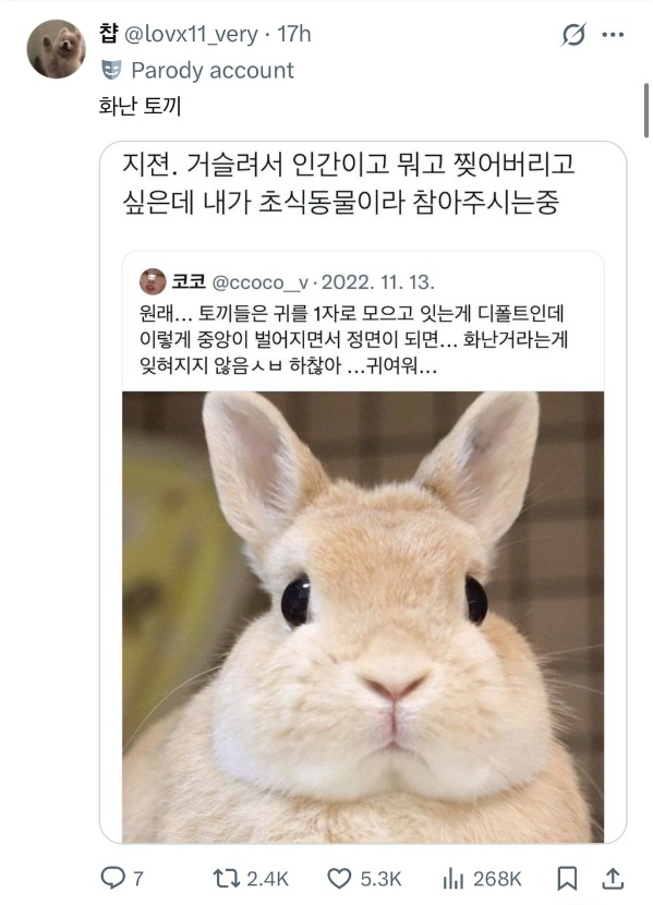 1755669351_0_img.jpeg