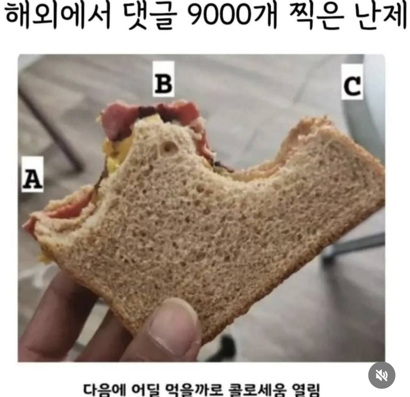 1755680308_0_img.jpeg